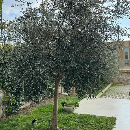 别墅 The Olive Retreat Villa, Coast 帕拉瑟