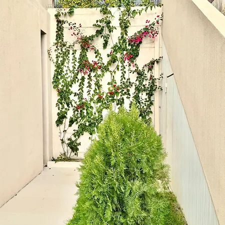 The Olive Retreat Villa, Coast فيلة